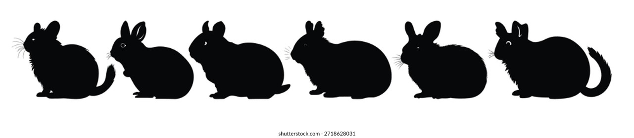 Chinchilla Siluetas Conjunto de Vector Silueta de hámster