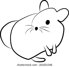 Chinchilla vector illustration