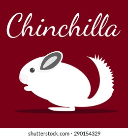 Chinchilla. Vector illustration. Pet icon in flat style design. svg