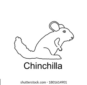 Chinchilla vector line contour silhouette illustration isolated on white background. Cute little pet, rodent animal.