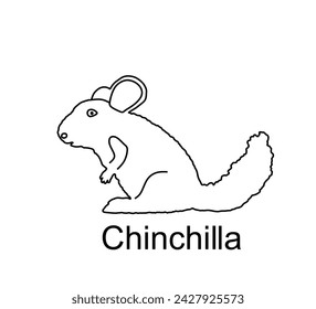 Chinchilla vector line contour silhouette illustration isolated on white background. Cute little pet, rodent animal.