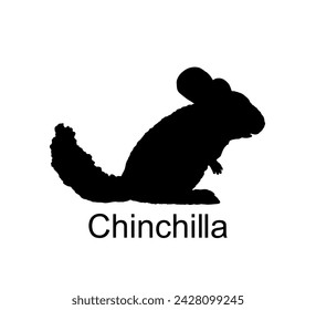 Chinchilla vector silhouette illustration isolated on white background. Cute little pet, rodent animal. Chinchilla shape shadow.