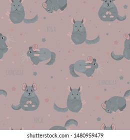 Chinchilla yoga poses and exercises. Cute cartoon seamless pattern. Vector illustration