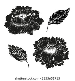 Chines peonies flower silhouette set for design card or invitation Floral ink hand drawn design. Chines peon silhouette with leaves 