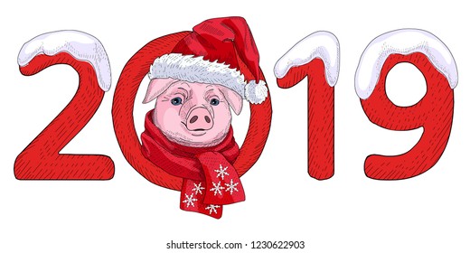 Chinese 2019 Happy New Year of a pig. Hand drawn vector illustration. Pig in a red hat and with scarf.