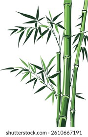 Chinese bamboo branches vector material