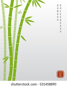 Chinese bamboo or japanese bambu asian vector background