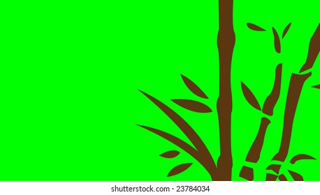 chinese bamboo trees