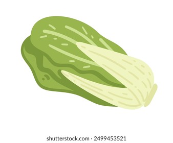 Repollo chino. Cocina asiática de verduras. Ideal para recetas de ensaladas, anuncios de mercado fresco y contenido de alimentos saludables. Ilustración vectorial aislada sobre fondo blanco.