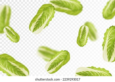Fondo de col chino. Volando o cayendo col fresca aislada en un fondo transparente. Se puede usar para publicidad, embalaje, banner, afiche, impresión. Diseño plano. Ilustración del vector