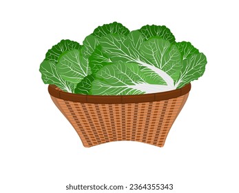 Chinese cabbage in a bamboo basket.