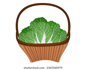 Chinese cabbage in a bamboo basket.