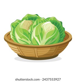 
Chinese cabbage in busket Green Leafy Vegetables vector illustration