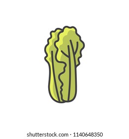 Chinese cabbage colored line icon.