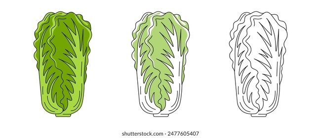 Chinese cabbage, colorful and line icons set. Farm vegetable vector outline icon, monochrome and color illustration. Healthy nutrition, organic food, vegetarian product. For logo, coloring book