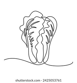 Chinese cabbage in continuous line art drawing style. Pekinensis or napa cabbage black linear sketch isolated on white background. Vector illustration