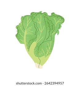 Couve-chinesa. Vegetal folhoso desenhado à mão plana. Comida asiática saudável. Ilustração vetorial isolada sobre fundo branco.