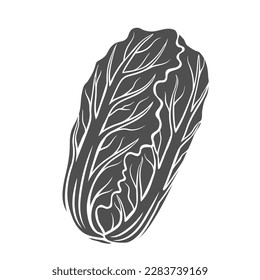 Chinese cabbage glyph icon vector illustration. Stamp of leaf vegetable for cooking in Asian cuisine, napa cabbage for Korean kimchi pickle, natural fresh plant of agricultural summer farm garden