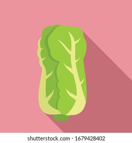 Chinese cabbage icon. Flat illustration of chinese cabbage vector icon for web design