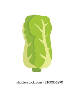 Chinese cabbage icon. Flat illustration of chinese cabbage vector icon isolated on white background