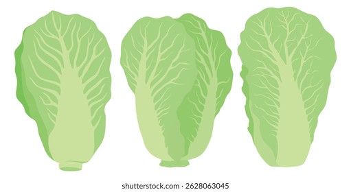 Chinese cabbage icon set in the flat style on white background.