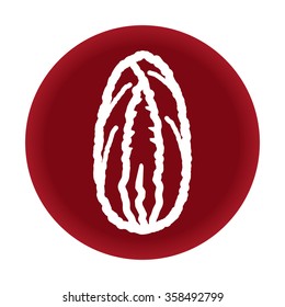 Chinese cabbage icon. Vector illustration eps 10.