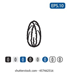 Chinese cabbage icon. Vector illustration.