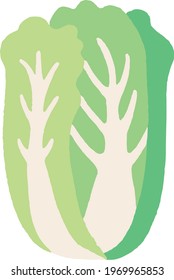 chinese cabbage icon. vegetables. hand drawn.