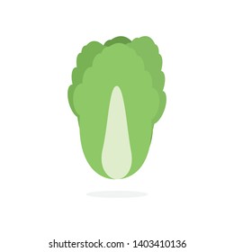 Chinese cabbage isolated on background.
