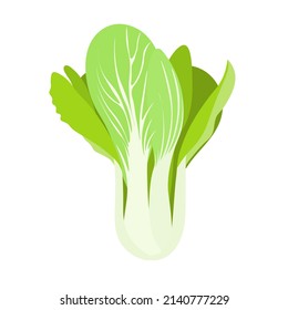 Chinese cabbage isolated on background