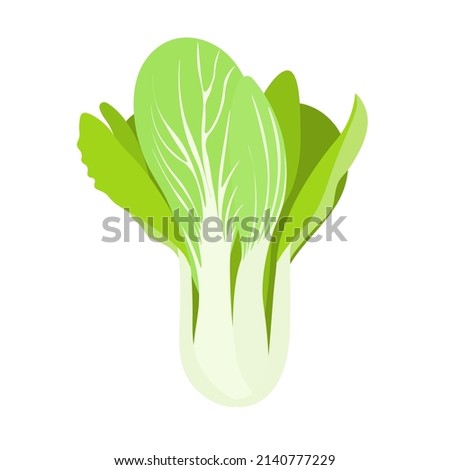 Chinese cabbage isolated on background