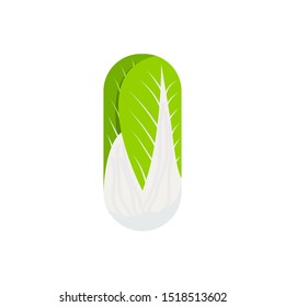 Chinese cabbage isolated on white background. Vector illustration. Eps 10.