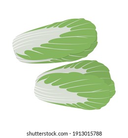 Chinese Cabbage. Isolated Vector Image On White Background. Clipart.