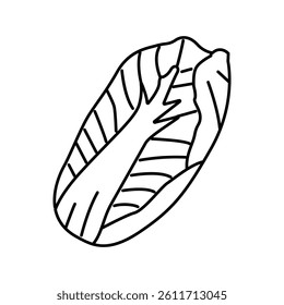chinese cabbage line icon vector. chinese cabbage sign. isolated contour symbol black illustration