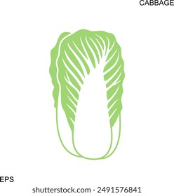 Chinese cabbage logo. Isolated Chinese cabbage on white background