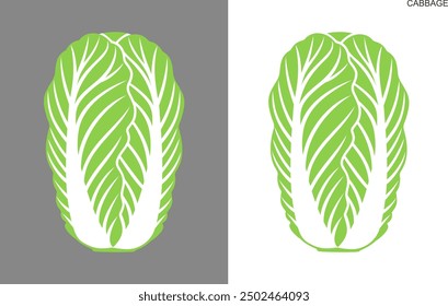 Chinese cabbage logo. Isolated Chinese cabbage on white background