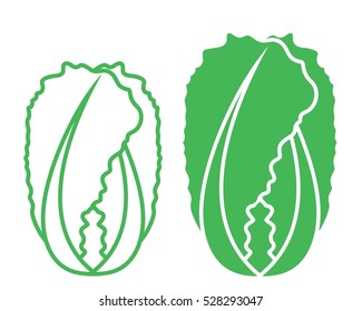 Chinese cabbage logo and outline. Isolated chinese cabbage on white background
