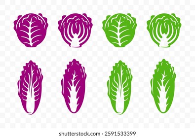 Chinese cabbage, red cabbage, cole and cauliflower, graphic design. White cabbage, red kubis merah, vegetables and food, vector design and illustration