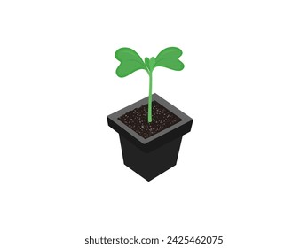 Chinese cabbage seedlings in a nursery tray.