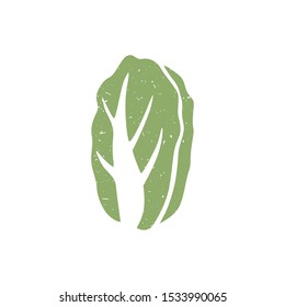 Chinese cabbage symbol isolated on transparent background. Filled icon. Colorful pictogram original design. Vector illustration