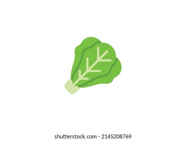 Chinesischer Cabbage Vektor isoliertes Emoticon. Chinesisches Kohl-Symbol