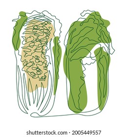 Chinese cabbage whole and cut in half, hand drawn in one solid line against a background of green and beige abstract spots on a white background