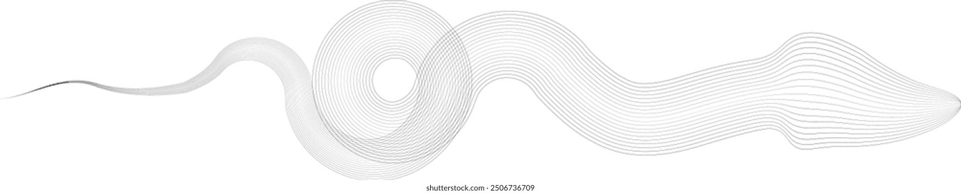 Chinese calligraphy . Asian style . Snake logo. Chinese new year 2025 zodiac snake symbol .design elements .Abstract flow linear fluid  shapes .Curved lines pattern .  Vector illustration