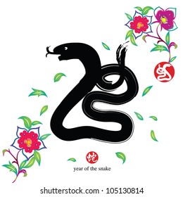 Chinese Calligraphy - Year of the snake design