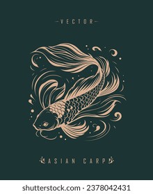 Chinese carp traditional art form