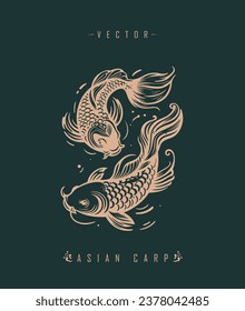 Chinese carp traditional art form