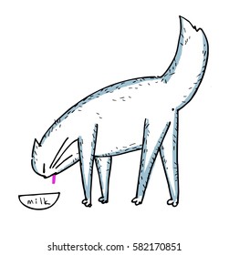 Chinese cat drinking milk