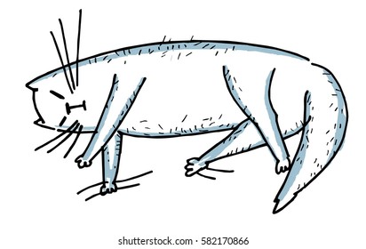 Chinese cat lying on the floor and stretched his legs