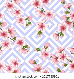 Chinese cherry blossom patter, geometric blue squares seamless vector background. Delicate sakura branch textile, pink apricot blossom fabric, apple flowers spring trees linen fabric.