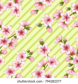 Chinese cherry blossom patter with light green geometric seamless vector background. Modern pink sakura branch textile, apricot blossom fabric, apple flowers spring trees tablecloth pattern.